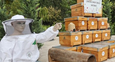 Muğla'da çam balı hasadı coşkuyla kutlandı