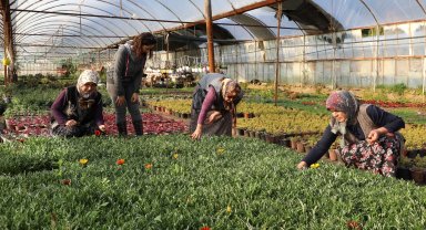 Muğla'da kadın emeğiyle gelecek inşa ediliyor