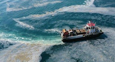 Müsilaj mağduru balıkçıya ek destek!