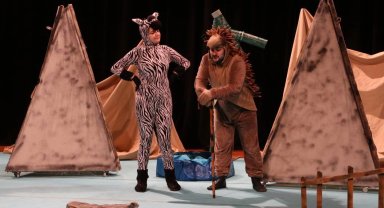 Sakarya'da 'Bir Zebra Müzikalı' seyircilerle buluştu