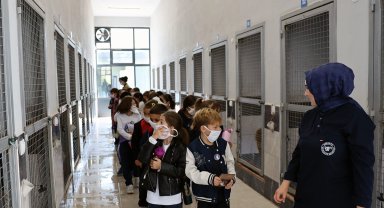 Sakarya'da can dostların yeni dünyasına hayran kaldılar