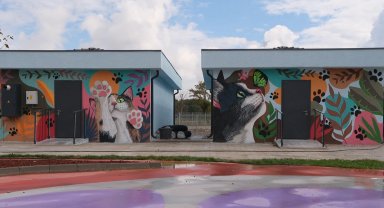 Sakarya'da Doğal Yaşam Kampüsü'ne sanatla dokunuş