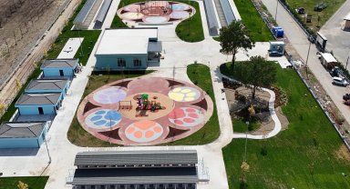 Sakarya'da sokak hayvanlarına güvenli yuva