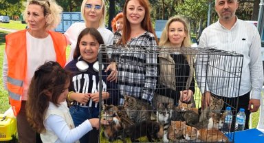 "Satın Alma, Sahiplen" etkinliğinde can dostlara yeni yuvalar