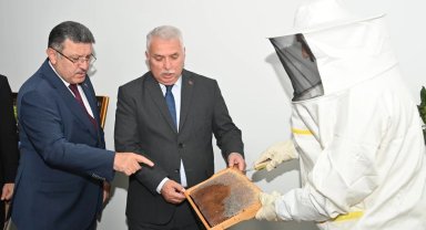 Trabzon'da bal için birlik zamanı