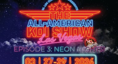 All American Koi Show 2026: Koi dünyasının en prestijli yarışması Las Vegas'a dönüyor