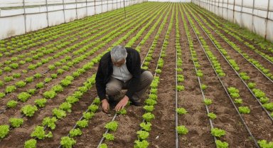 Balıkesir'de "Tarım Modeli" ile çiftçiye destek