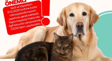 Bursa İnegöl'de evde kedi-köpek besleyenlere mikroçip uyarısı