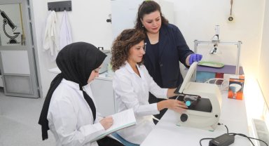 Bursalı bilim insanlarından aftlara doğal çözüm!