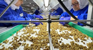 Çin'de organik sektörü 15 milyar dolarlık hacme ulaştı