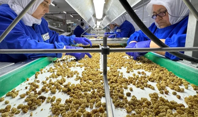 Çin'de organik sektörü 15 milyar dolarlık hacme ulaştı