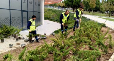 Dilovası Millet Bahçesi'nde dip köşe temizliği