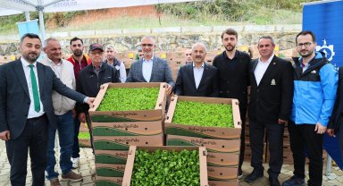 Gebze'de sebze fideler dağıtıldı
