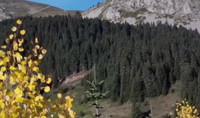 Ilgaz Dağı sonbaharda renk cümbüşü