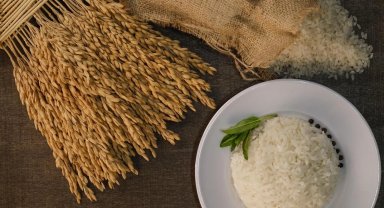 İpsala Pirinci'ne AB tescili... Trakya'nın ilk ve tek AB coğrafi işaretli ürünü