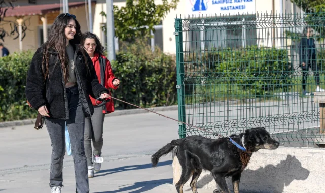 İzmir Menemen'deki yangından kurtarılan 17 hayvana Büyükşehir sahip çıktı