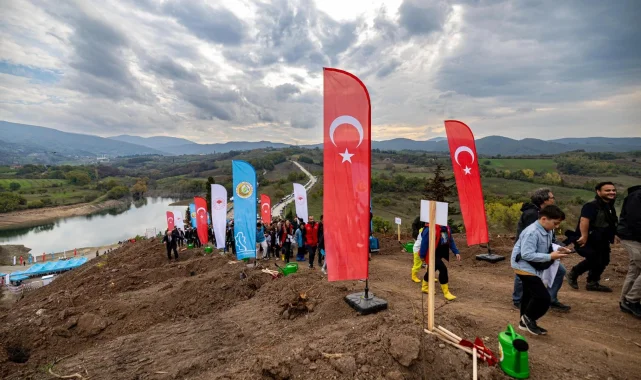 Karamürsel'de yanan bölge 3 bin fidanla yeşerecek