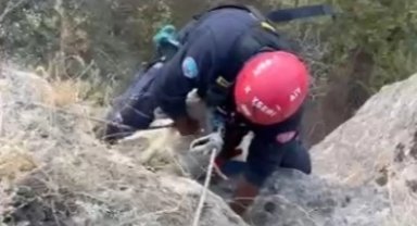 Kayseri Büyükşehir itfaiyesi mahsur kalan keçiyi kurtardı