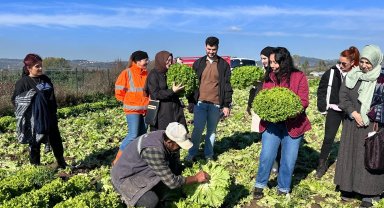 Kocaeli Büyükşehir'den aday çiftçilere uygulamalı tarım eğitimi