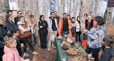 Kocaeli Kuzuyayla'da mantarların gizemli dünyası keşfedildi