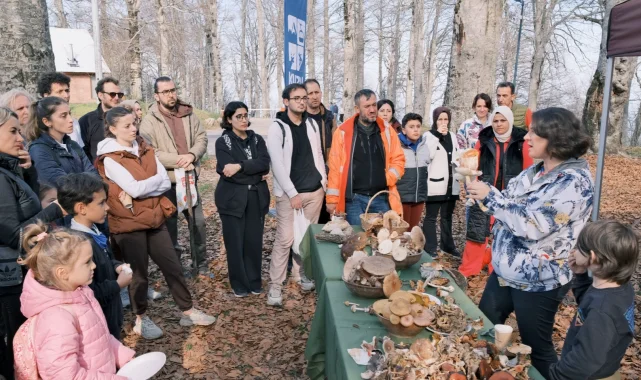 Kocaeli Kuzuyayla'da mantarların gizemli dünyası keşfedildi