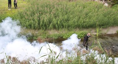 Kocaeli'de sinekle mücadele dört mevsim hız kesmiyor
