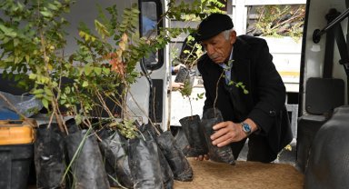 Konya'da 6 bin 370 sumak fidanı çiftçilere ulaştı
