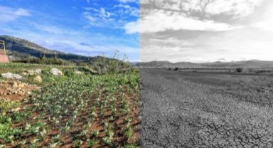 Mersin'de iklim ve yeşil dönüşüm önceliği