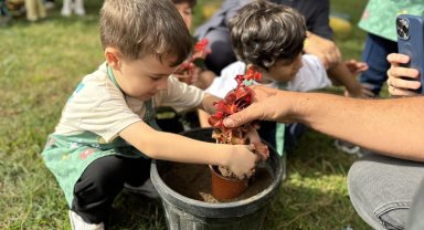 Minik eller Sakarya'da umut ekti