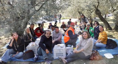 Mudanya'da birlikte zeytin topladılar