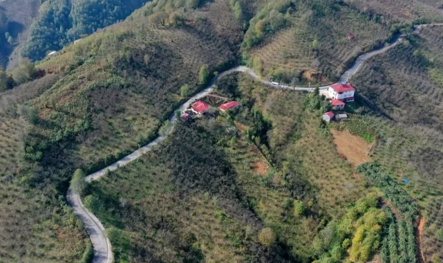 Ordu Tepeköy'de asfalt sevinci