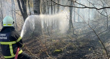 Ordu'da bir haftada 40 yangın alarmı