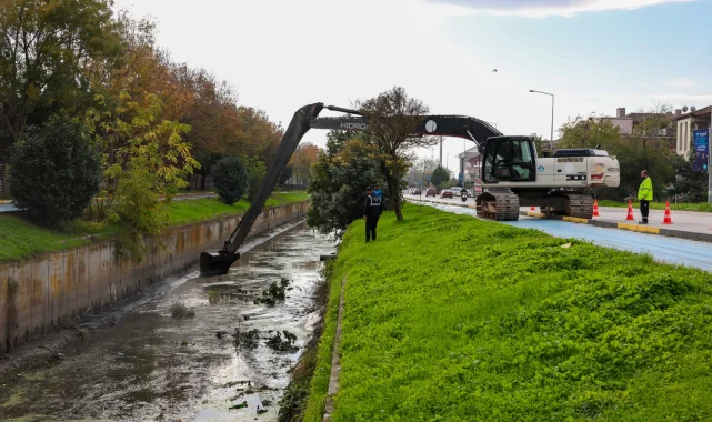 Sakarya Çark Deresi'ne nefes