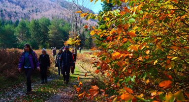 Sakarya'da doğa yürüyüşlerinde sonbahar coşkusu