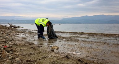 Sapanca Gölü'nde ekosistemi koruyan kıyı temizliği