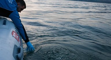 Sapanca Gölü'ndeki su kabarcıkları endişelendirdi! Herhangi bir olumsuzluk yok!