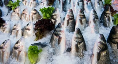 Su ürünleri ihracatının yüzde 47'si Ege'den yapıldı