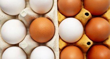 Üretim 11 aydır düşüyor... Vatandaş yumurtaya ulaşamıyor!