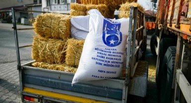 ABB'nin kırsal kalkınma destekleri sürüyor