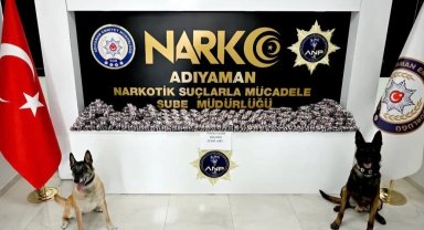 Adıyaman'da asayiş ve narkotik operasyonları: 55 şüpheli yakalandı, 9 tutuklama