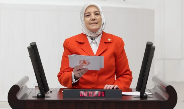 AK Partili Yavuz Gözgeç: Bütçemizin istikameti Türkiye Yüzyılı'dır