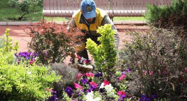 Ankara Keçiören'de seradan parklara uzanan yeşil yolculuk