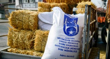 Ankara'da mandacılara yüzde yüz hibeli yem desteği
