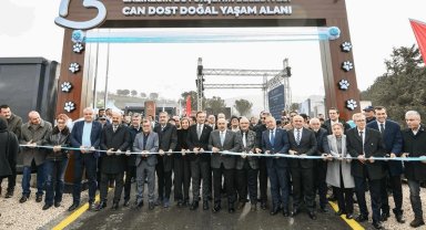 Balıkesir'den sokak hayvanlarına sıcak yuva