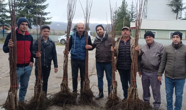 Bilecik Pazaryeri'nde 450 meyve fidanı çiftçilerle buluştu