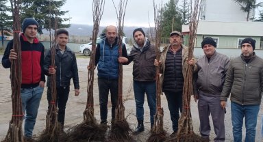 Bilecik Pazaryeri'nde meyveciliğe güçlü destek