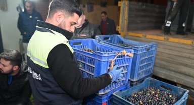 Bursa Gemlik Belediyesi'nden üreticiye destek