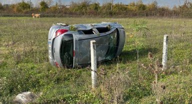 Düzce'de şarampole devrilen otomobilde sürücü yaralandı