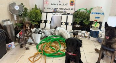 Düzce'de uyuşturucu operasyonu: 1 gözaltı