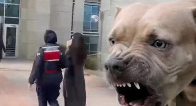 Etimesgut'ta pitbull dehşetinde yeni gelişme... Köpek sahibi tutuklandı!